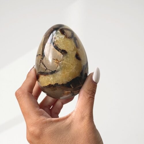 Septarian (Dragon Stone)