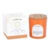 Capricorn Sandalwood & Jasmine Gemstone Zodiac Candle 1