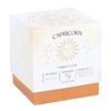Capricorn Sandalwood & Jasmine Gemstone Zodiac Candle 4