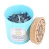 Pisces Gardenia Gemstone Zodiac Candle 2