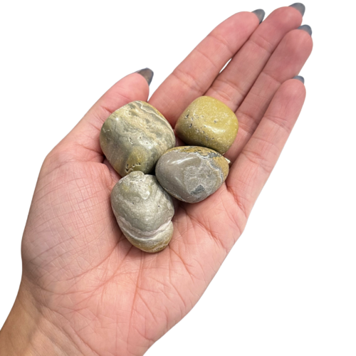 Bumble Bee Jasper Tumblestone