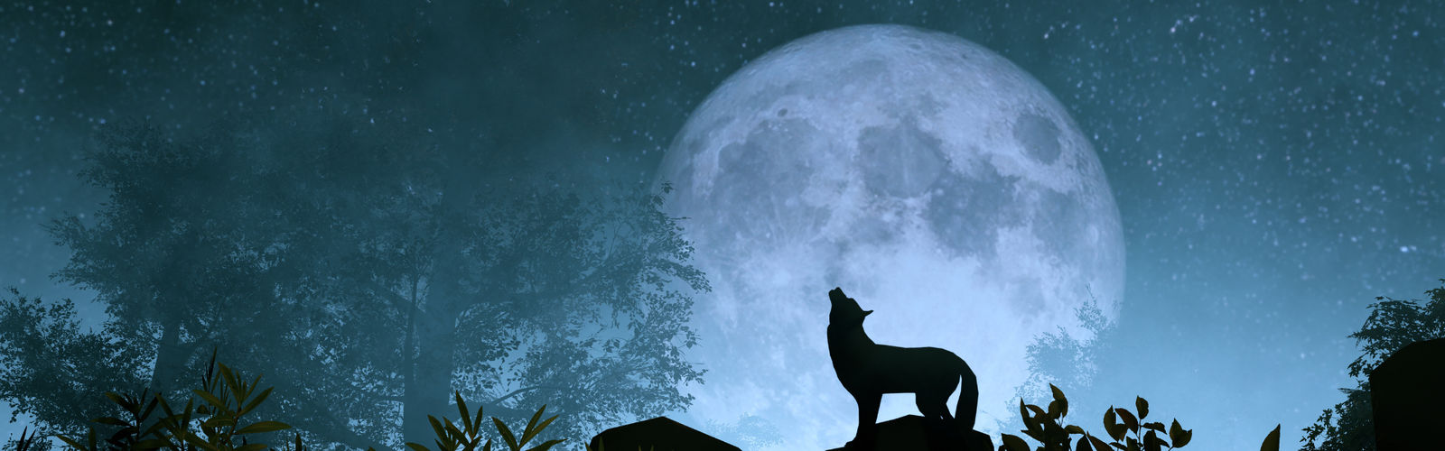 January Wolf Moon