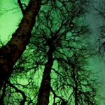 New Moon in Capricorn 18th January 2026