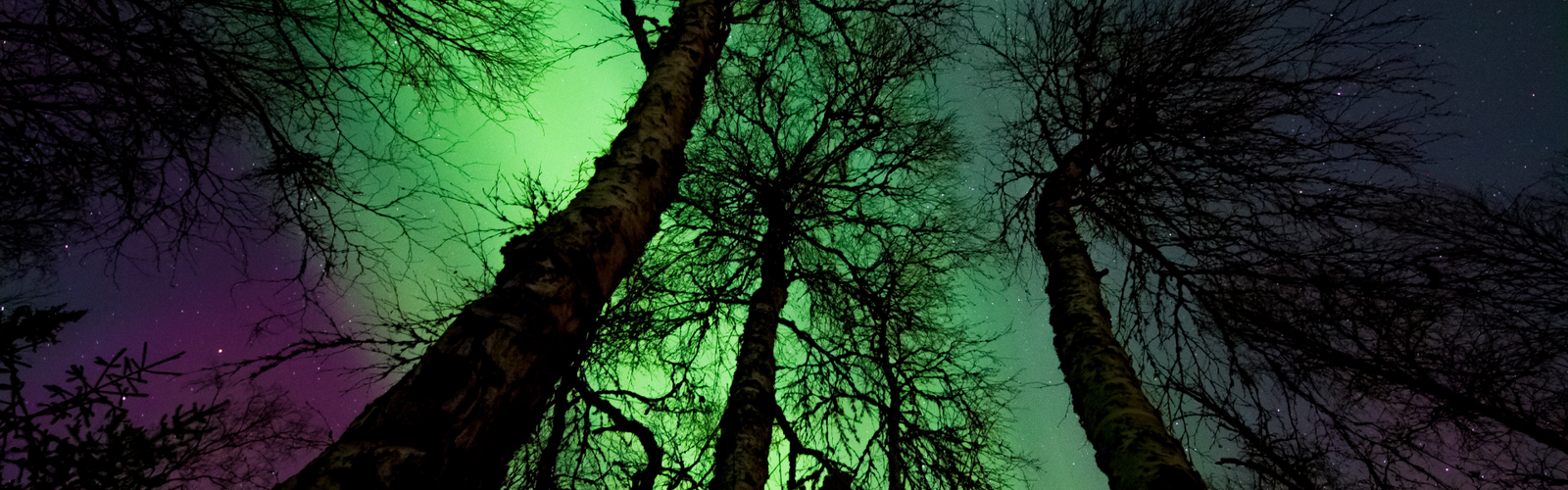 Solar Activity Symptoms: Surviving a G4 Geomagnetic Storm & The Afterglow