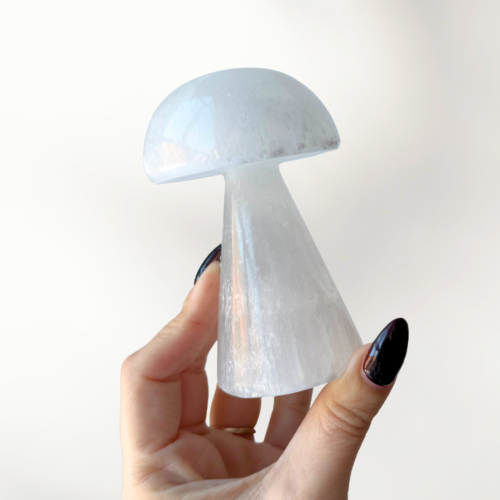 Home 2026 17 Selenite Mushroom