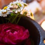 Best Crystals For Beltane 2026