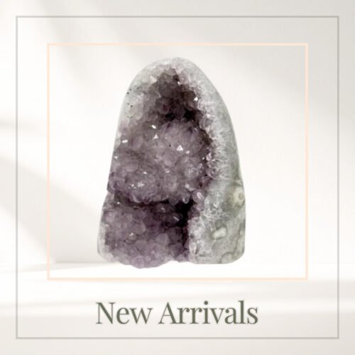 New Arrivals