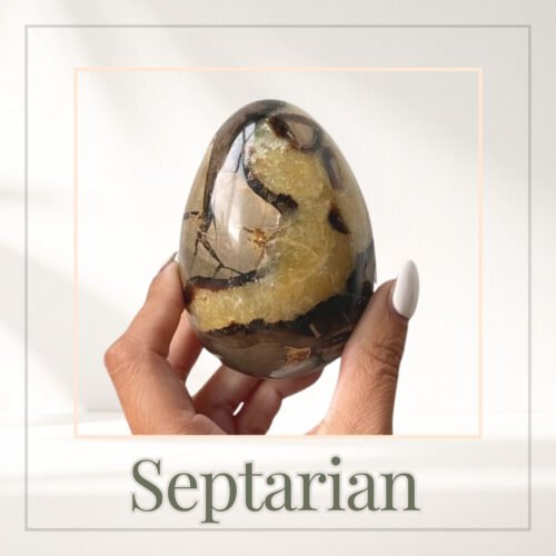 Septarian (Dragon Stone)