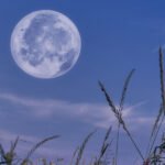 Crystals for a Fresh Start Under the Cancer New Moon