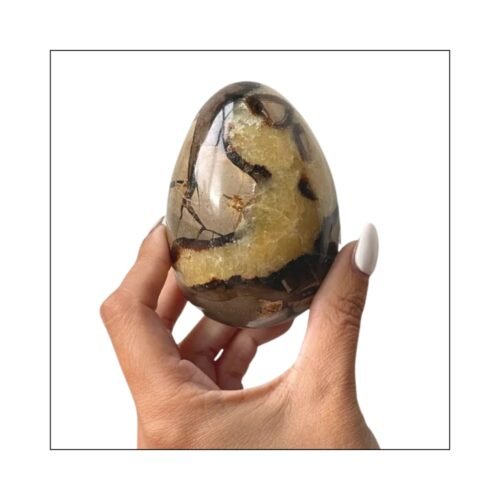 Septarian (Dragon Stone)