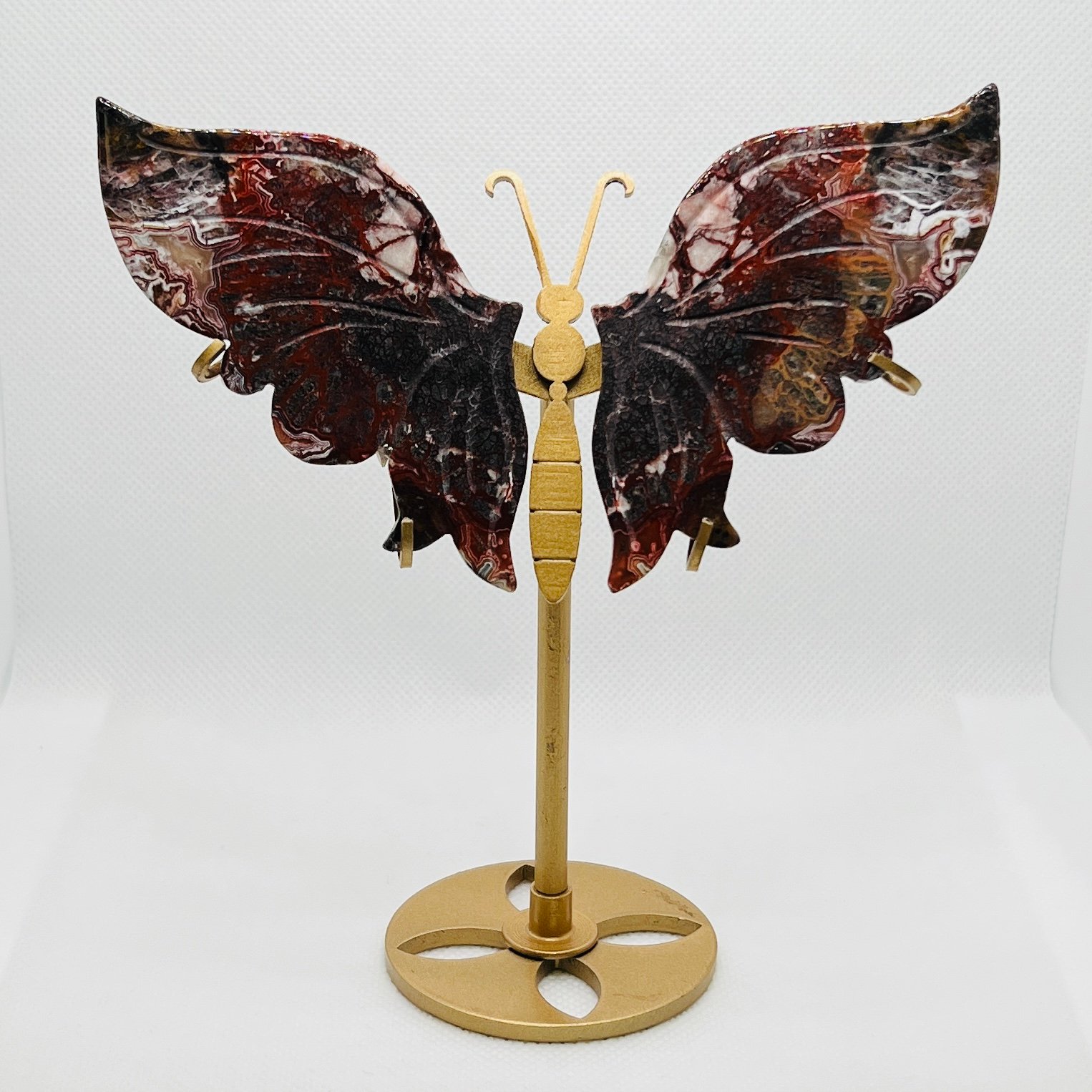 Mexican Crazy Lace Agate Butterfly Wings on Stand 15cm 1 Mexican crazy lace butterfly wings on stand
