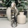 IMG_6807 Ocean jasper druzy tower close view showing concentric orbs and gold veining
