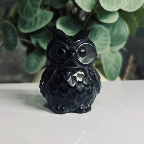Home 2026 23 Black obsidian owl carving 6cm tall, glossy black polished stone owl, Mystic Grove UK
