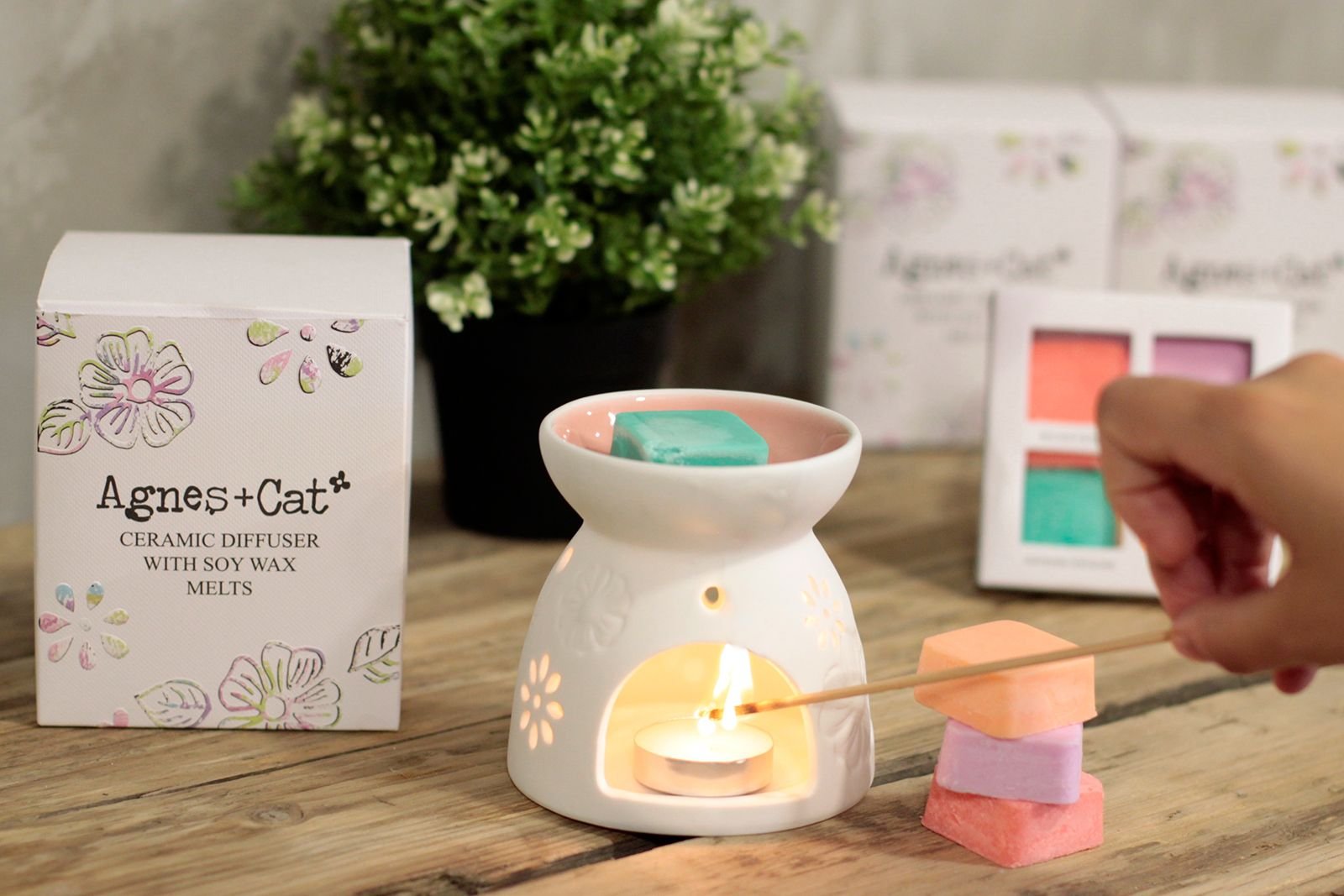 bG9jYWw6Ly9tZWRpYS85Ry9KRC82MFIzMEMxSDY0VDNKRDlHL2FkMDBmNTBkLmpwZWc.jpg Floral Ceramic Wax Melter with Four Soy Wax Melts view 6
