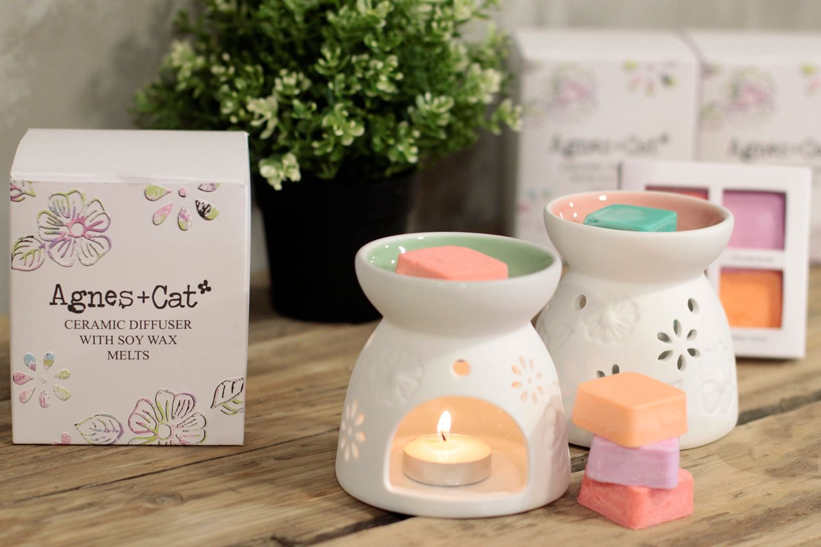 bG9jYWw6Ly9tZWRpYS85Sy9KRC82MFIzMEMxSDY0VDNKRDlLLzE1MzNmMjkwLmpwZWc.jpg Floral Ceramic Wax Melter with Four Soy Wax Melts view 9