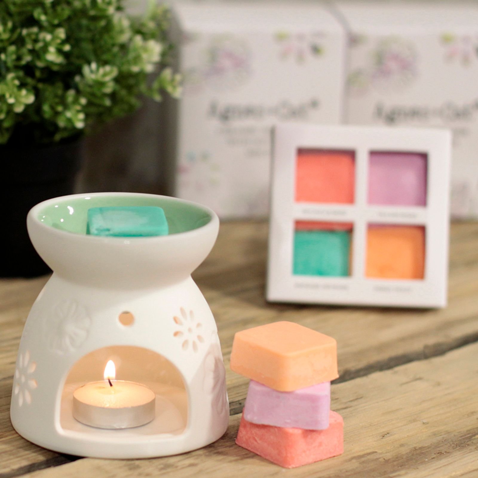 bG9jYWw6Ly9tZWRpYS85Ti9KRC82MFIzMEMxSDY0VDNKRDlOLzU1YmZhMTAyLmpwZWc.jpg Floral Ceramic Wax Melter with Four Soy Wax Melts view 11
