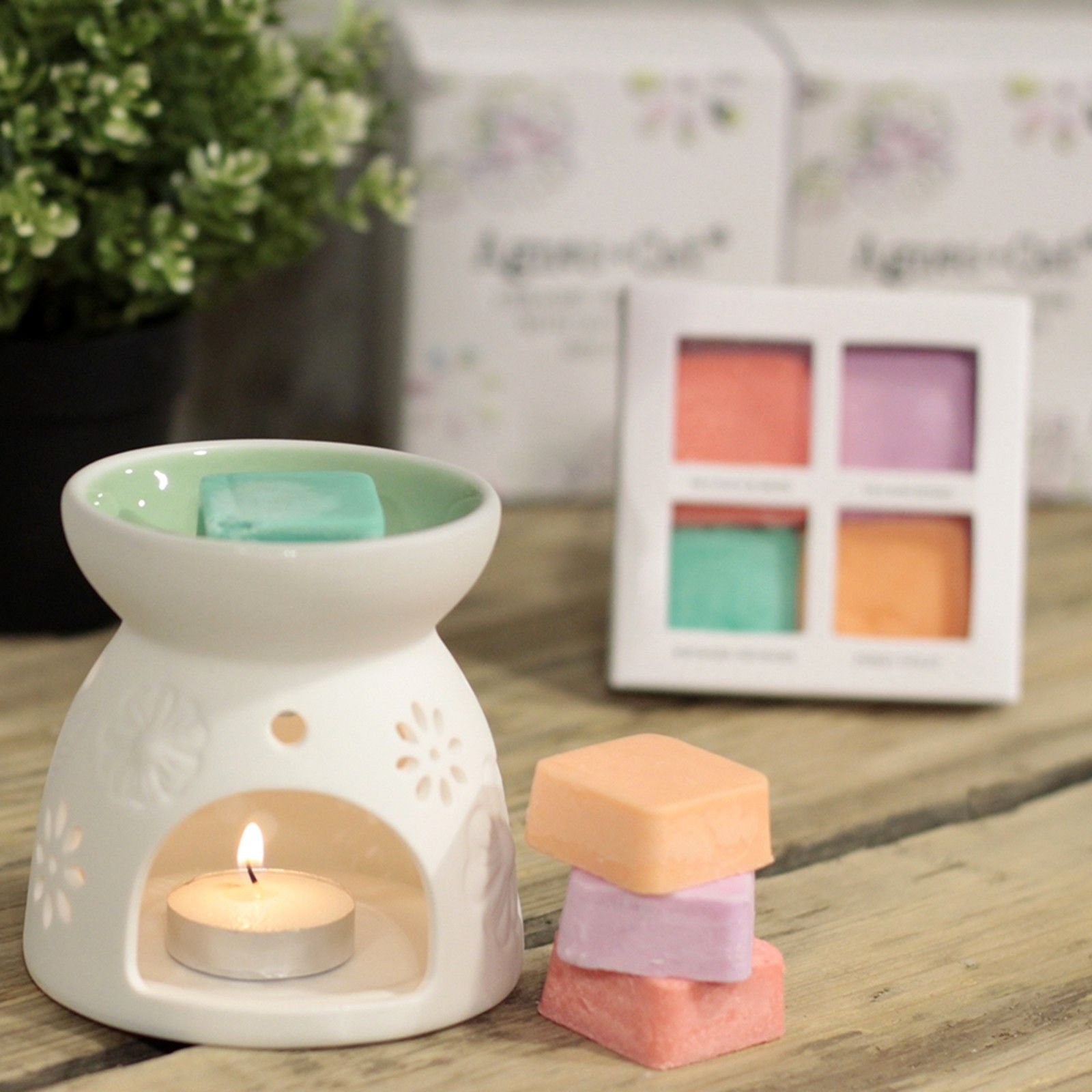 bG9jYWw6Ly9tZWRpYS8xSy9FRS82MFIzMEMxRzZNUzNFRTFLLzI4MDYzMzVmLmpwZWc.jpg Floral Ceramic Wax Melter with Four Soy Wax Melts view 12