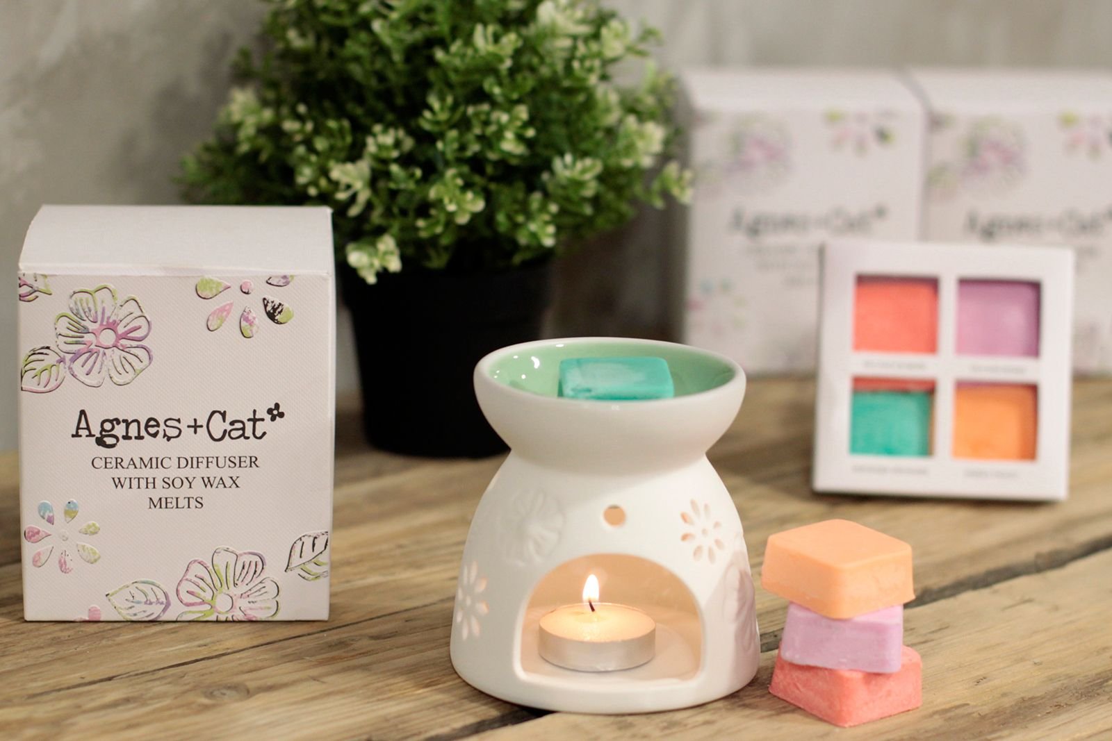 bG9jYWw6Ly9tZWRpYS8xUi9KRC82MFIzMEMxSDY0VDNKRDFSLzhhYWNmNzY1LmpwZWc.jpg Floral Ceramic Wax Melter with Four Soy Wax Melts view 4