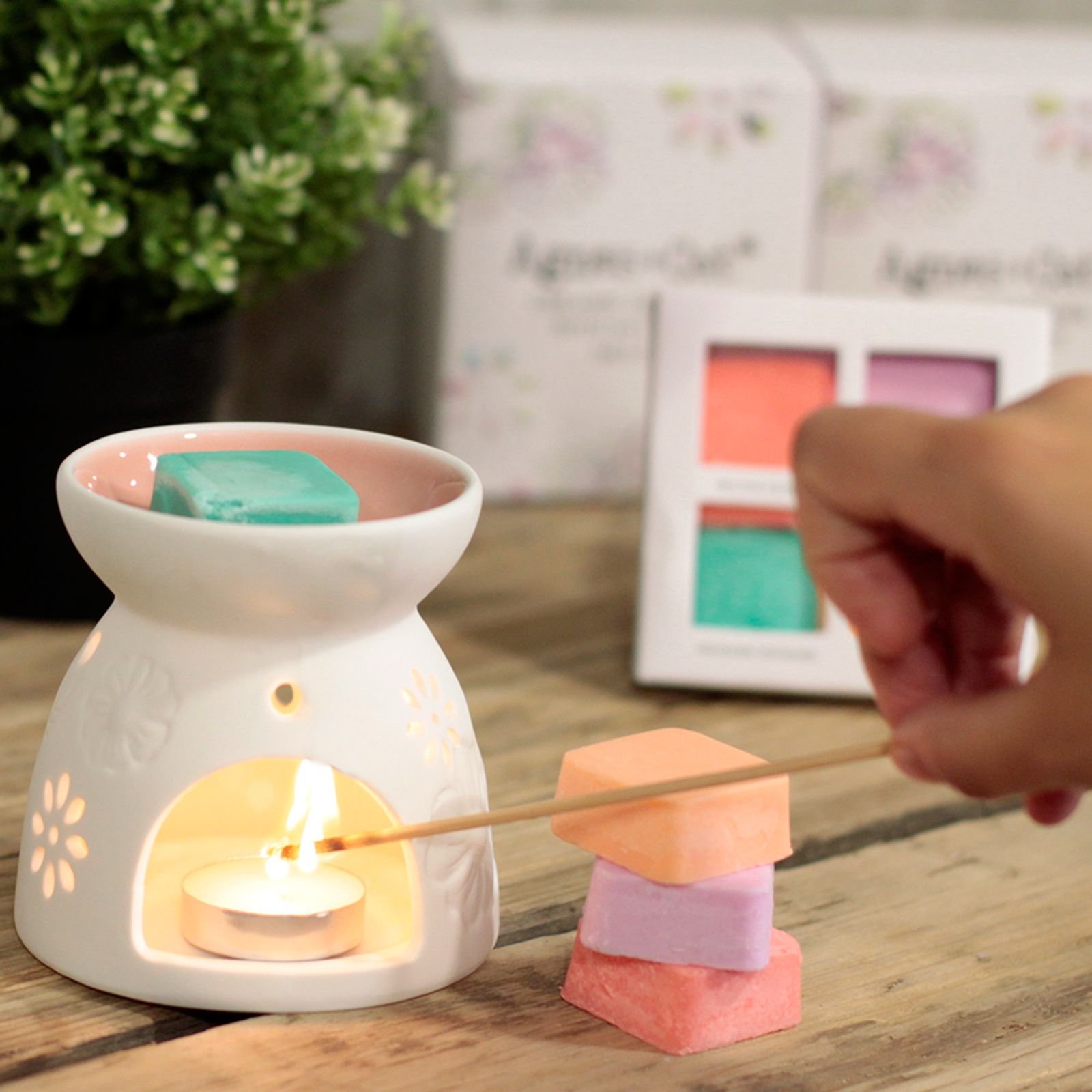 bG9jYWw6Ly9tZWRpYS8xUy9KRC82MFIzMEMxSDY0VDNKRDFTLzE2NmRmZmQ1LmpwZWc.jpg Floral Ceramic Wax Melter with Four Soy Wax Melts view 5