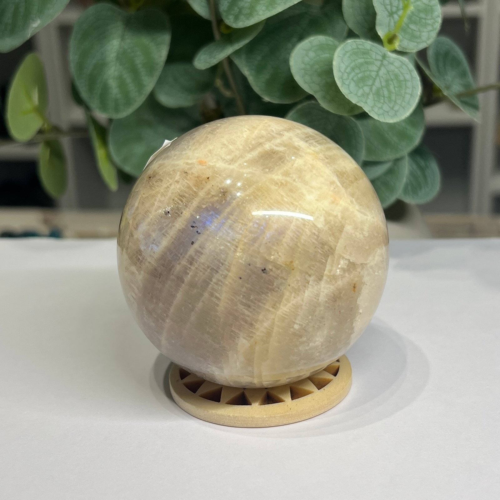 blue flash moonstone sphere 7cm 5 Blue flash moonstone sphere 7cm with blue flash glowing across the face