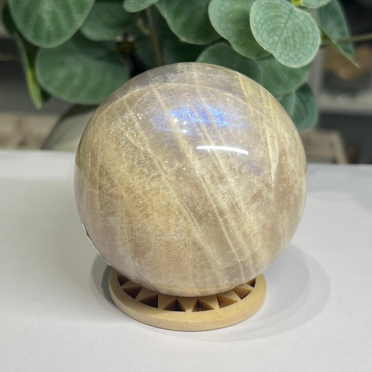 blue flash moonstone sphere 7cm Blue flash moonstone sphere 7cm, cream and peach with a bright blue flash, on a wooden sphere stand