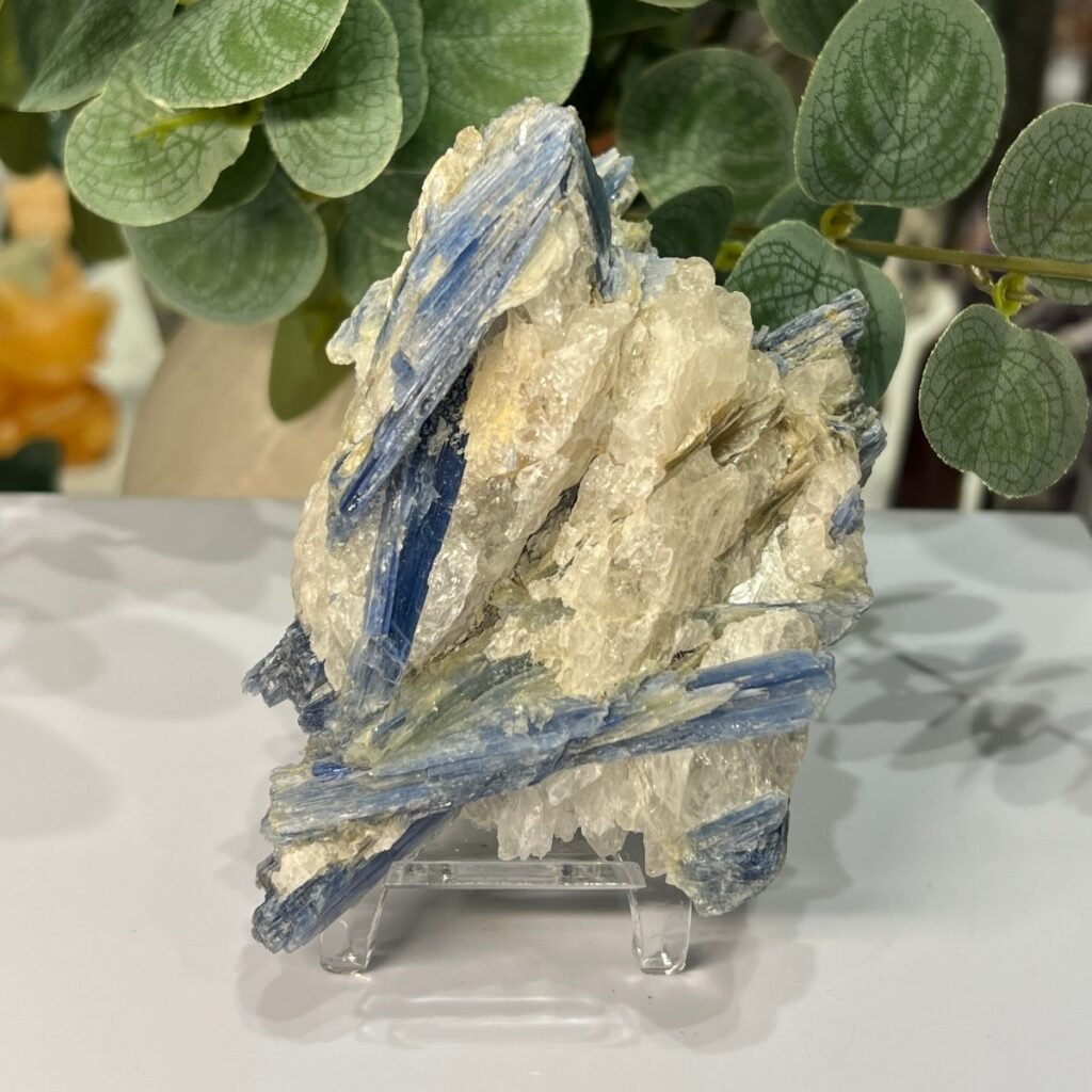 Blue kyanite specimen 286g with blue blades on white quartz