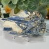 Blue kyanite specimen with blue blades and bronze mica on quartz