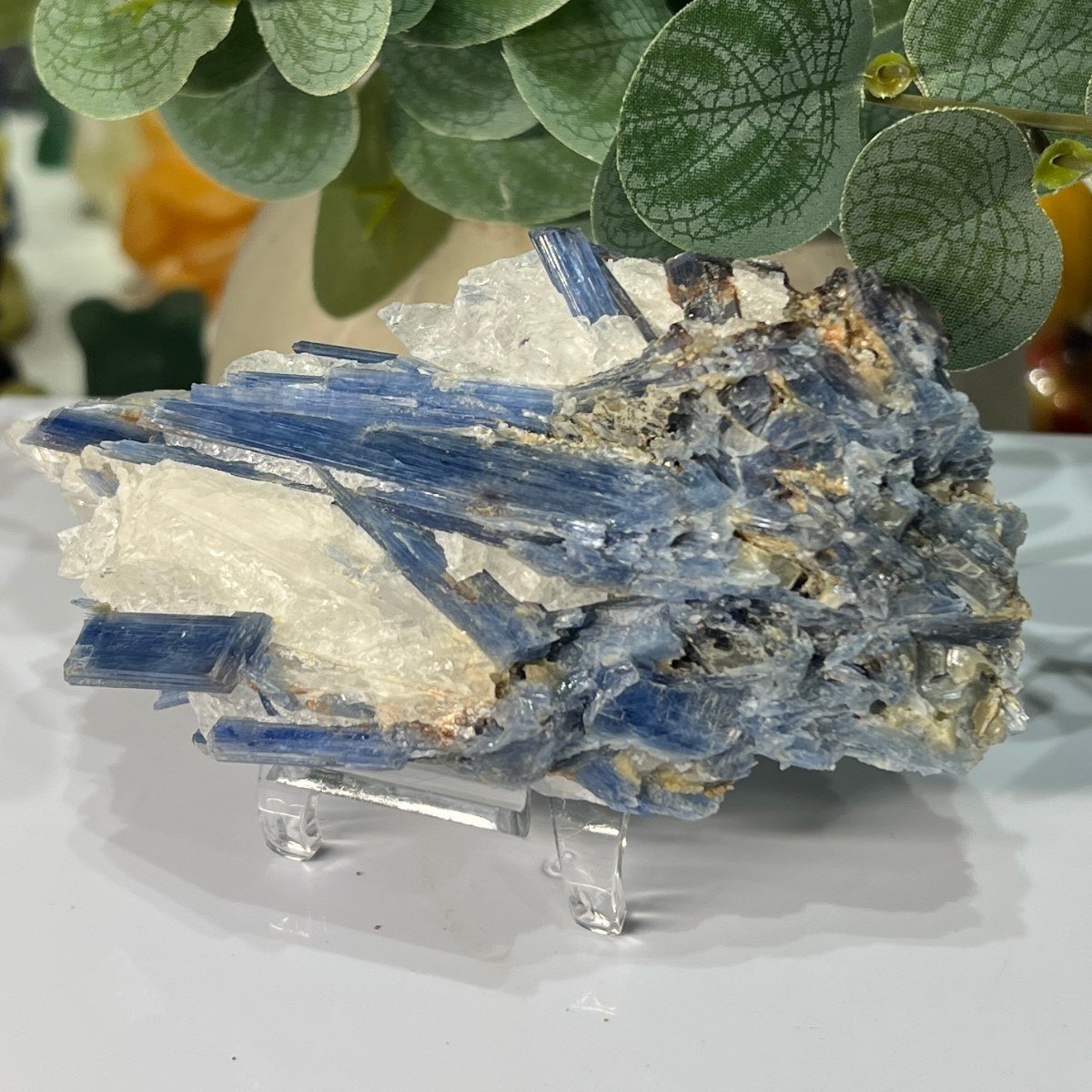 Blue kyanite specimen with blue blades and bronze mica on quartz