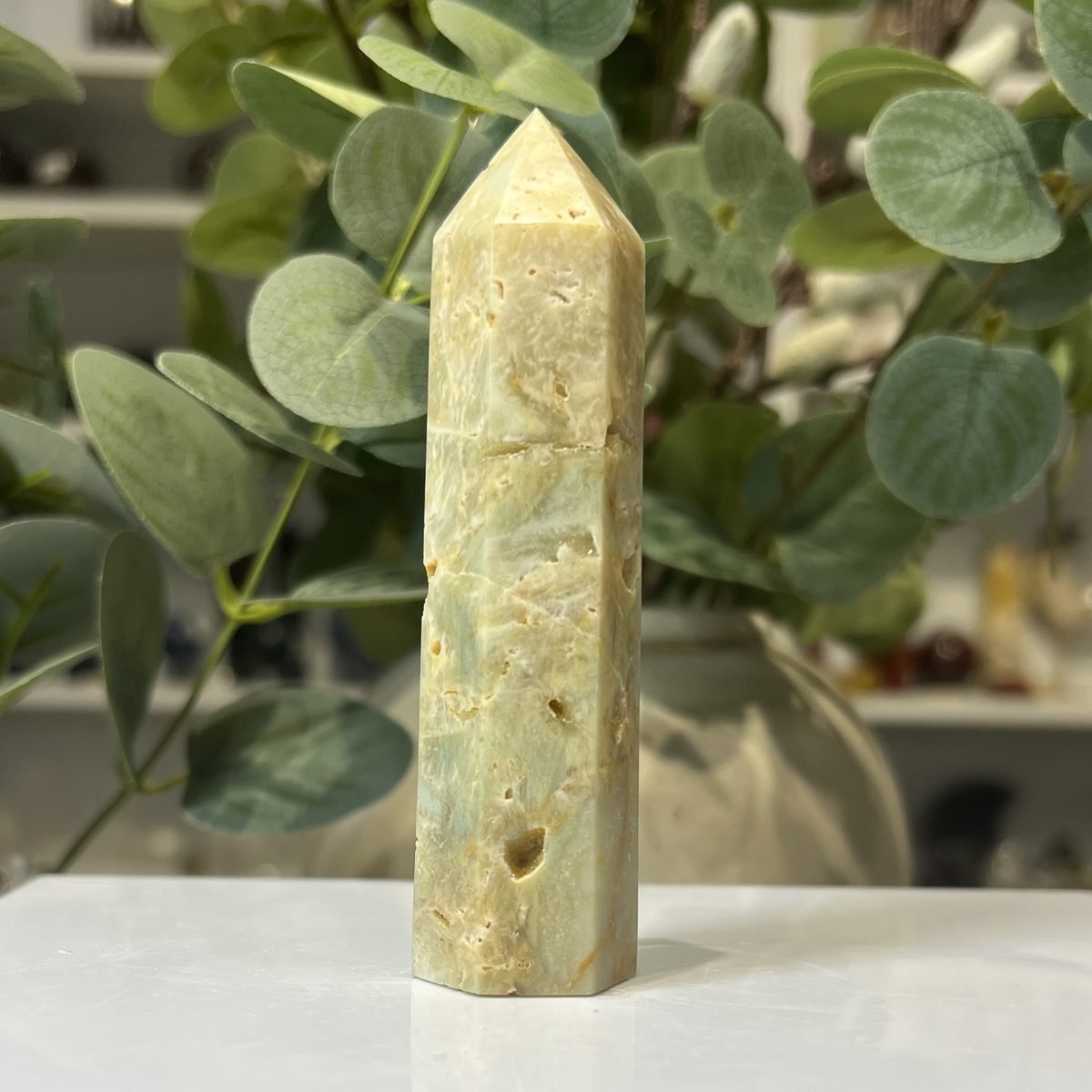 Caribbean calcite tower A, polished point