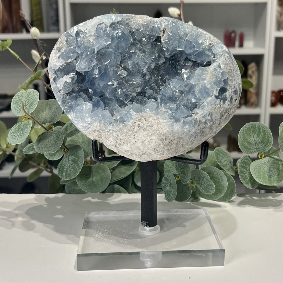 Celestite Geode on Stand 2.6kg Celestite geode close view of the pale blue crystals inside the cavity