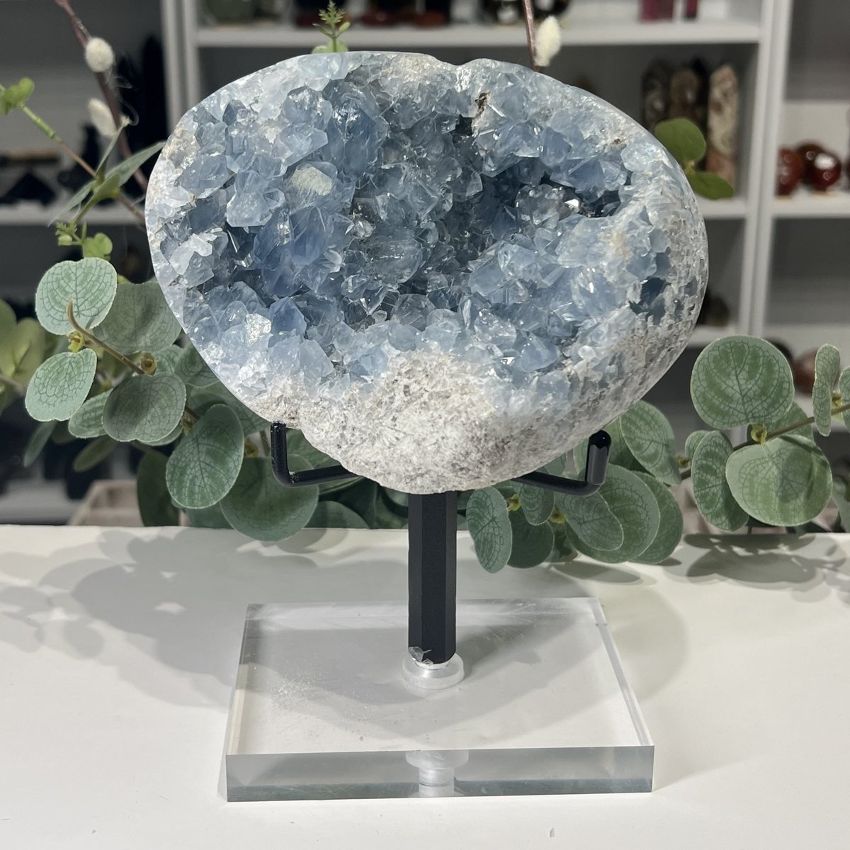 Celestite Geode on Stand 2.6kg Celestite geode angled view showing the depth of the crystal pocket