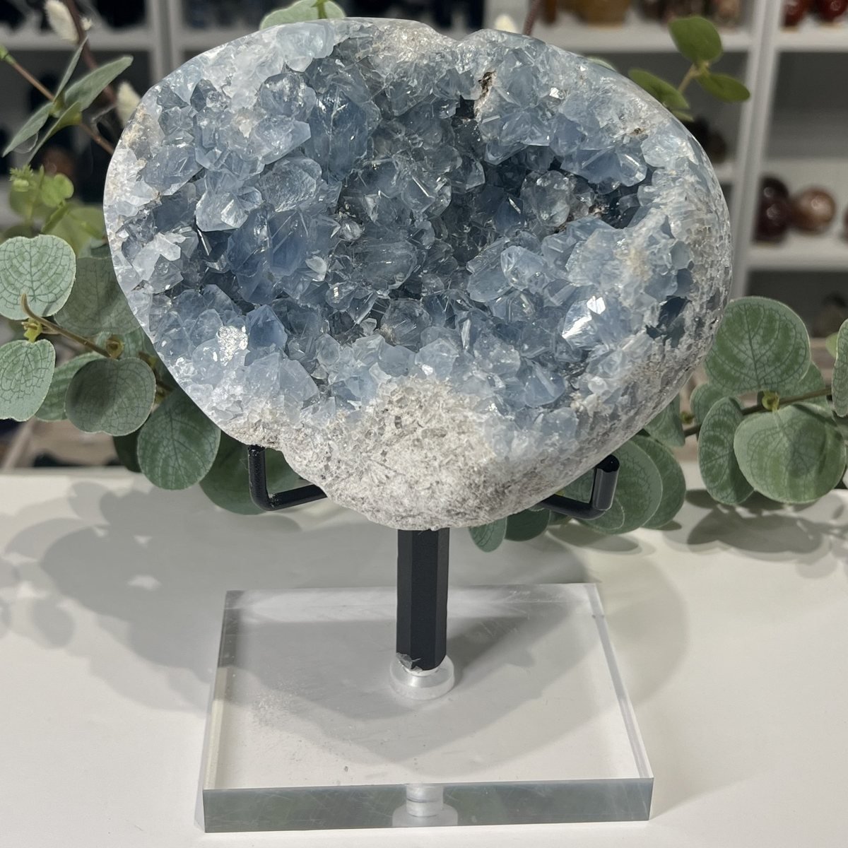 Celestite Geode on Stand 2.6kg Celestite Geode on Stand 2.6kg photo 4, Mystic Grove UK