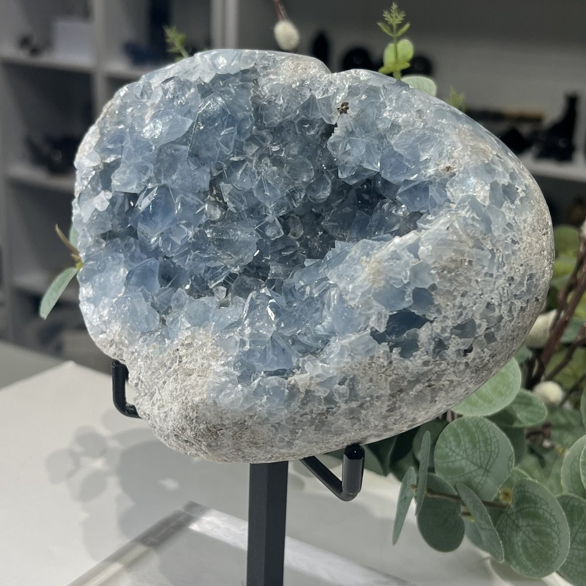 Celestite Geode on Stand 2.6kg Celestite Geode on Stand 2.6kg photo 5, Mystic Grove UK