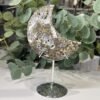 Money agate crystal moon G on a silver stand, 10cm Money agate crystal moon G on a silver stand, 10cm