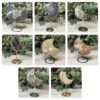 Eight crystal moon carvings on stands: agate druzy, ocean jasper, fluorite, crazy lace agate, money agate and mookaite Eight crystal moon carvings on stands: agate druzy, ocean jasper, fluorite, crazy lace agate, money agate and mookaite