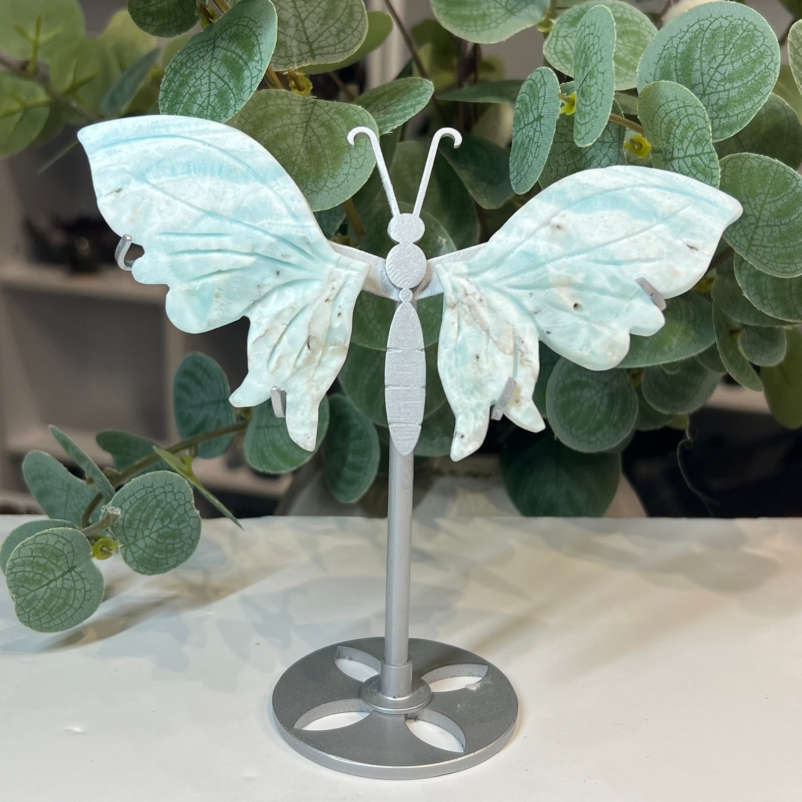 Hemimorphite butterfly wings on stand Hemimorphite butterfly wings on stand