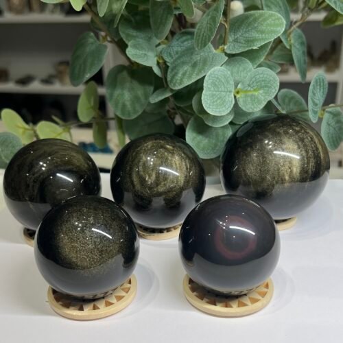 Four gold sheen obsidian spheres and one rainbow obsidian bullseye sphere on wooden stands