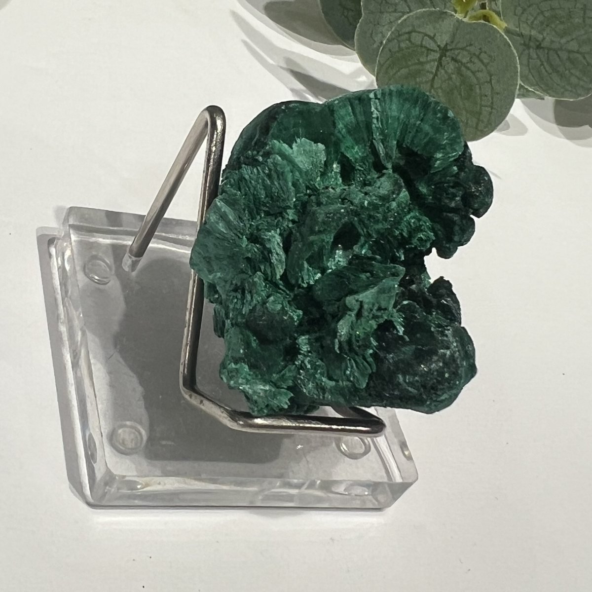 Raw Malachite on Stand 4.5cm to 7cm Raw malachite specimen side view on its acrylic stand