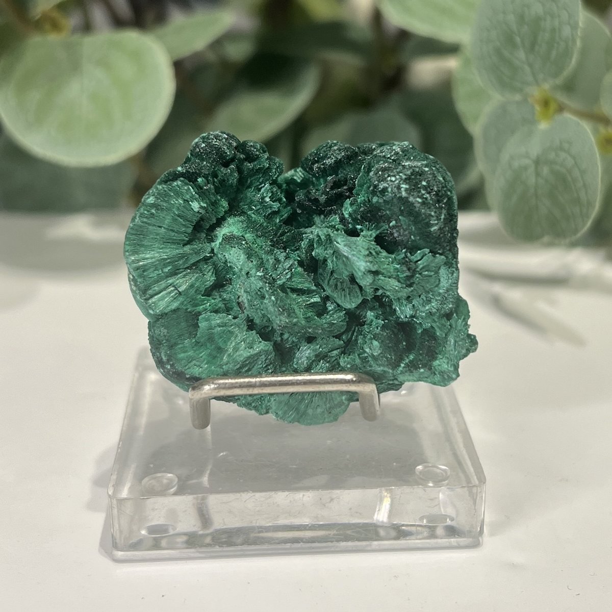 Raw Malachite on Stand 4.5cm to 7cm Raw Malachite on Stand 4.5cm to 7cm photo 5, Mystic Grove UK