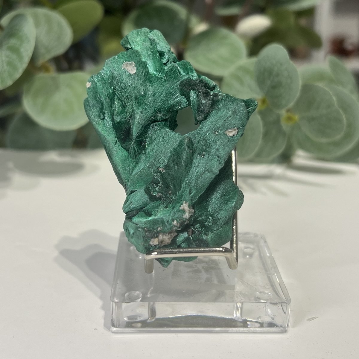 Raw Malachite on Stand 4.5cm to 7cm Raw Malachite on Stand 4.5cm to 7cm photo 6, Mystic Grove UK