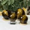 Tigers eye spheres on wooden stands, group Tigers eye spheres on wooden stands, group