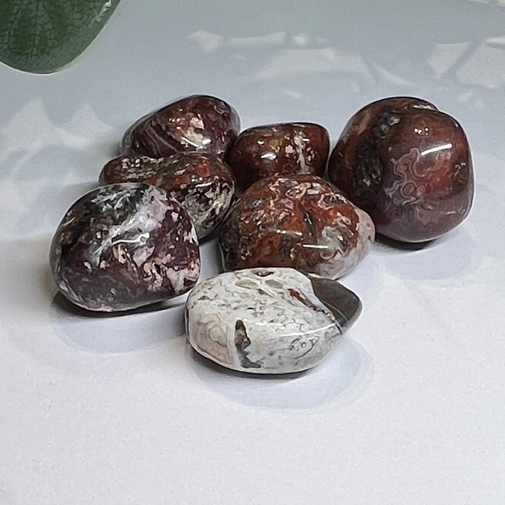 Tumblestones Mexican Crazy Lace Agate tumblestones