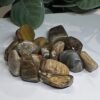 Tumblestones Petrified Wood tumblestones